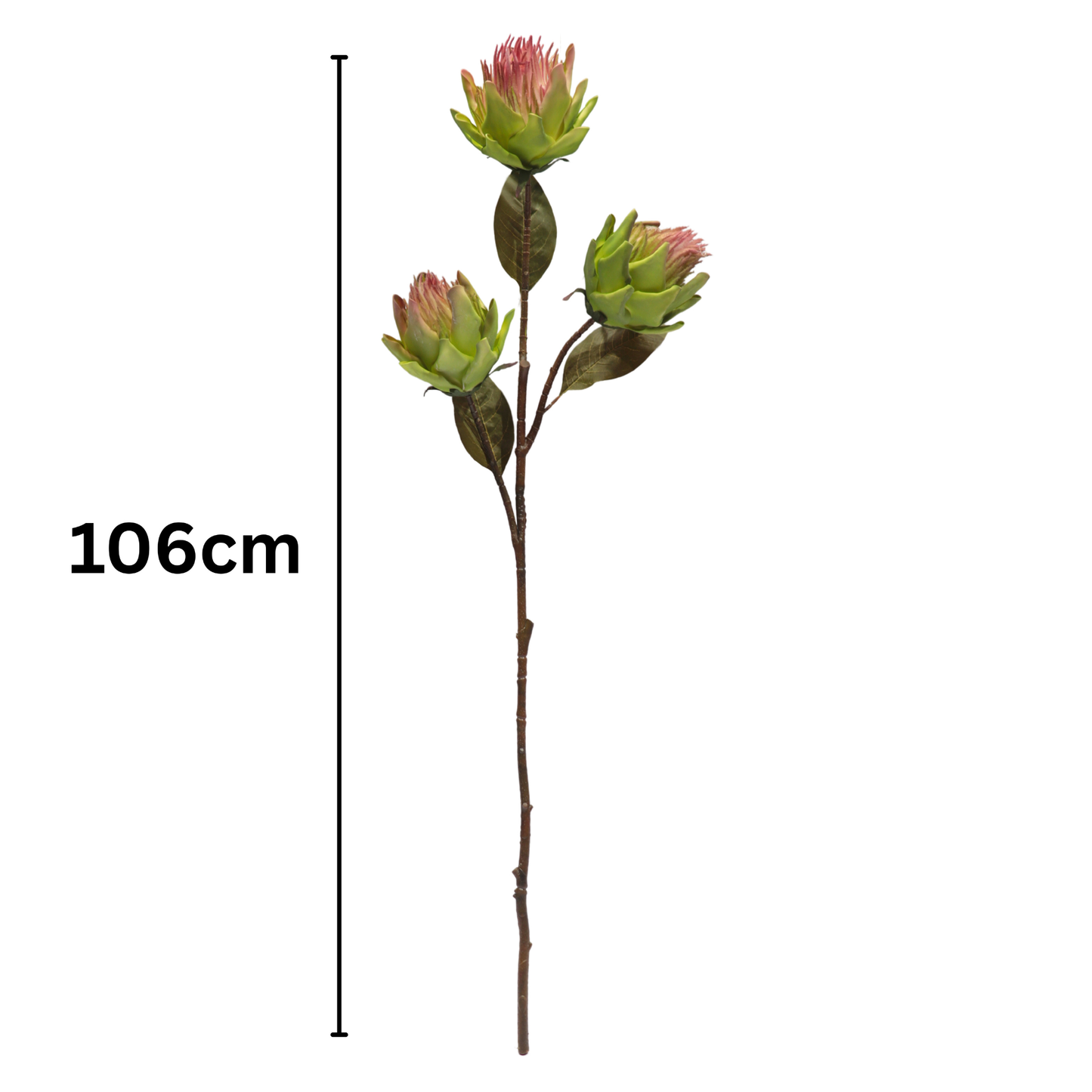 Protea Stick 3 Head 104cm Ligth Green (Pack of 10)