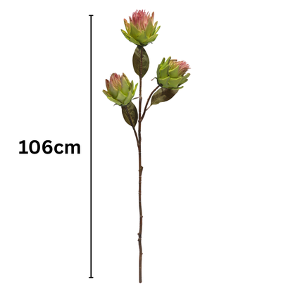 Protea Stick 3 Head 104cm Ligth Green (Pack of 10)