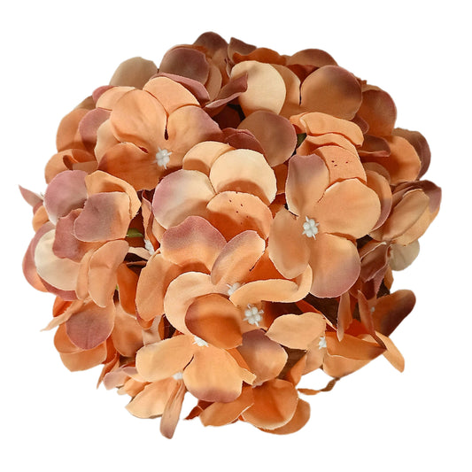 Brown Flr Hydrangea 54 Petals (Pack of 50)