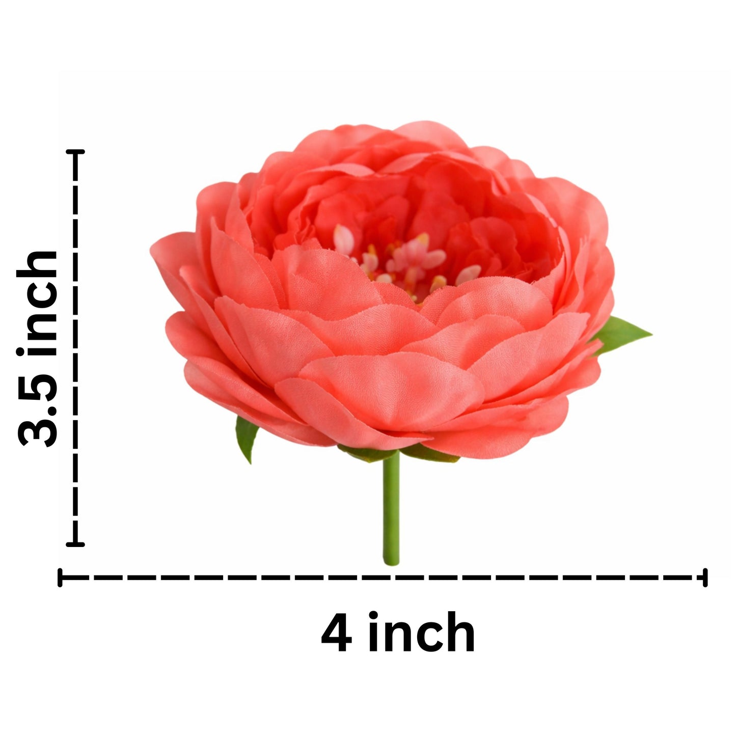 Rose Gold Coral Peony (Pack of 50)
