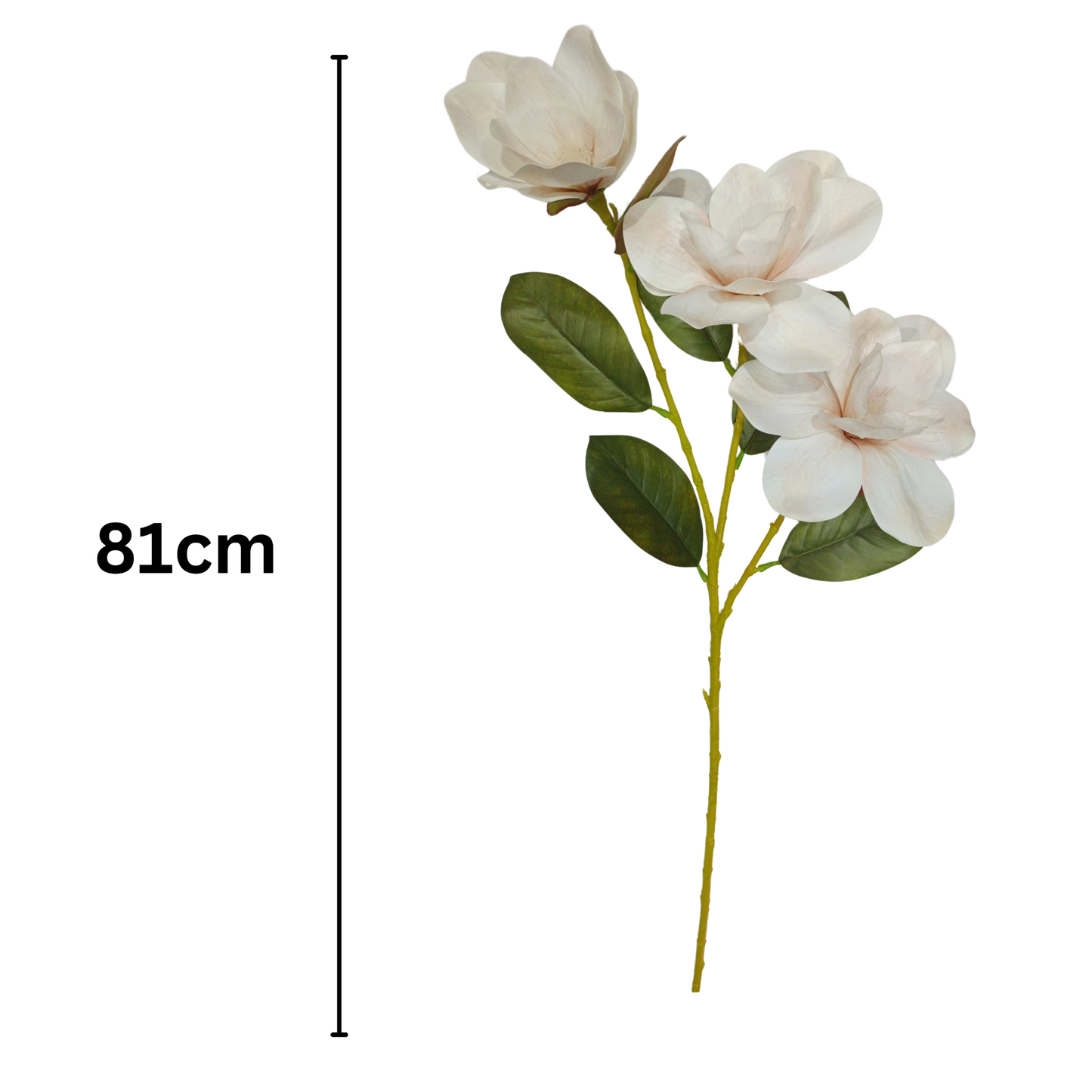 Magnolia Stick 3 Head 82cm White Brown (Pack of 10)