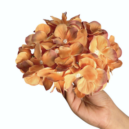 Brown Flr Hydrangea 54 Petals (Pack of 50)
