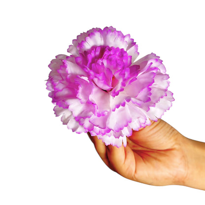 Purple white Big Carnation (Pack of 200)