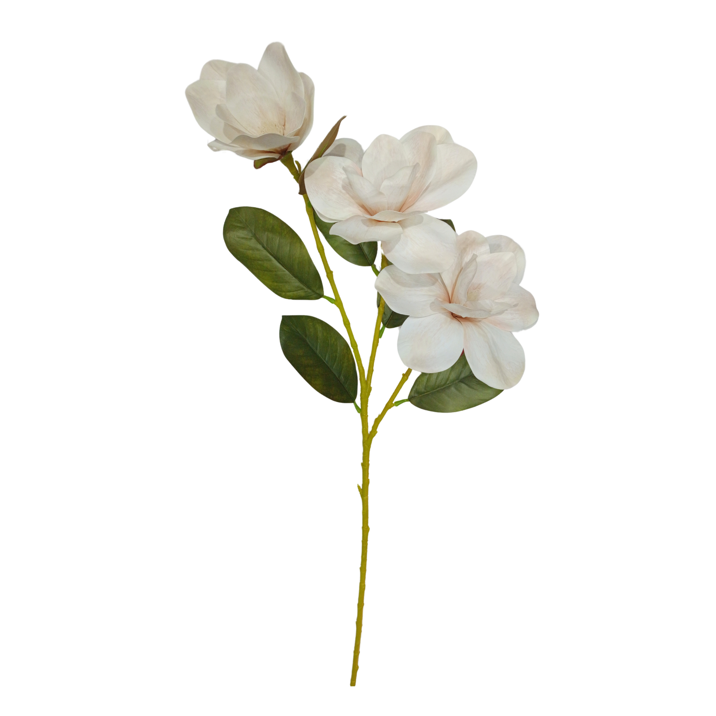 Magnolia Stick 3 Head 82cm White Brown (Pack of 10)