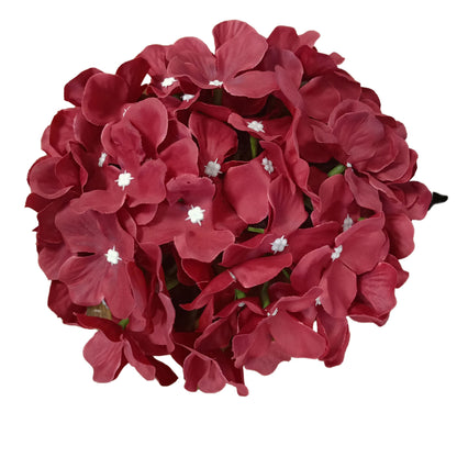 Dark Red Flr Hydrangea 54 Petals (Pack of 50)