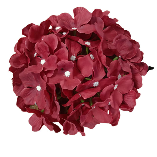 Dark Red Flr Hydrangea 54 Petals (Pack of 50)
