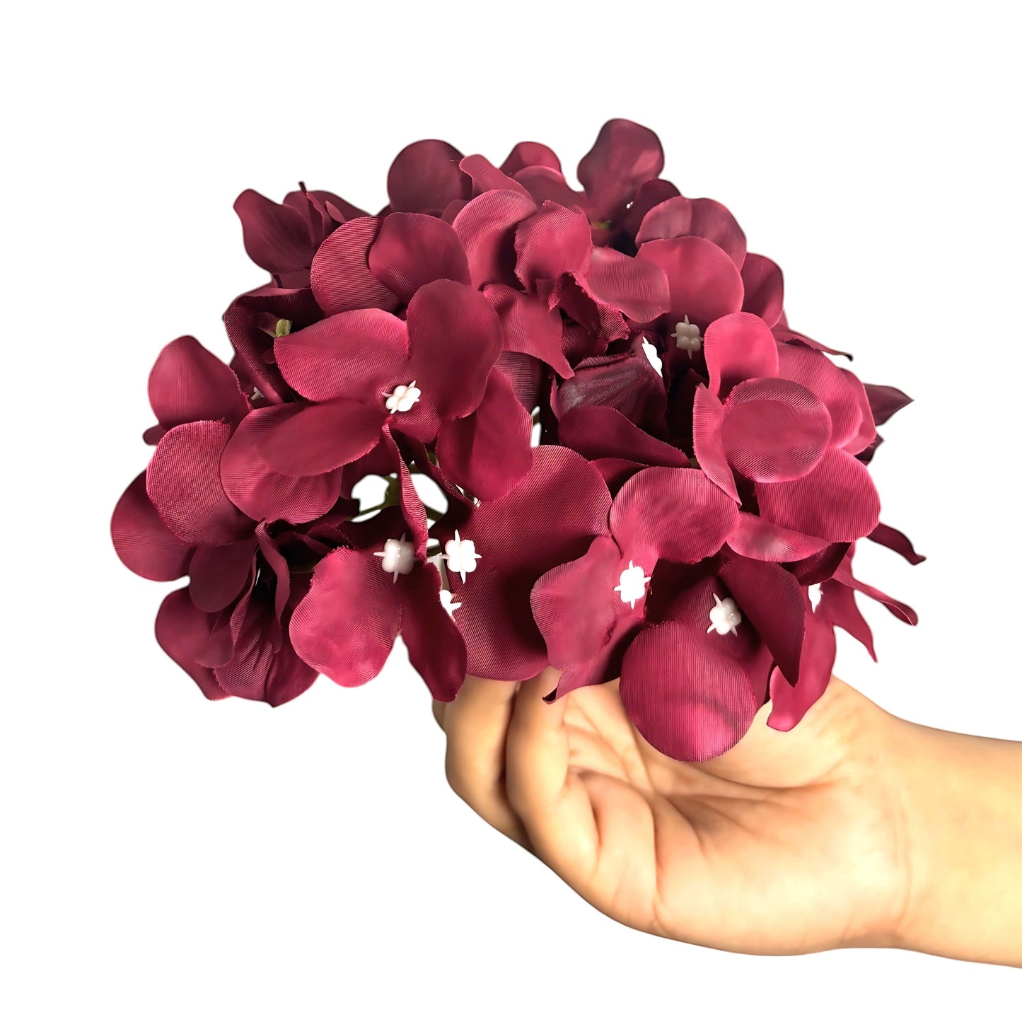 Dark Red Flr Hydrangea 54 Petals (Pack of 50)