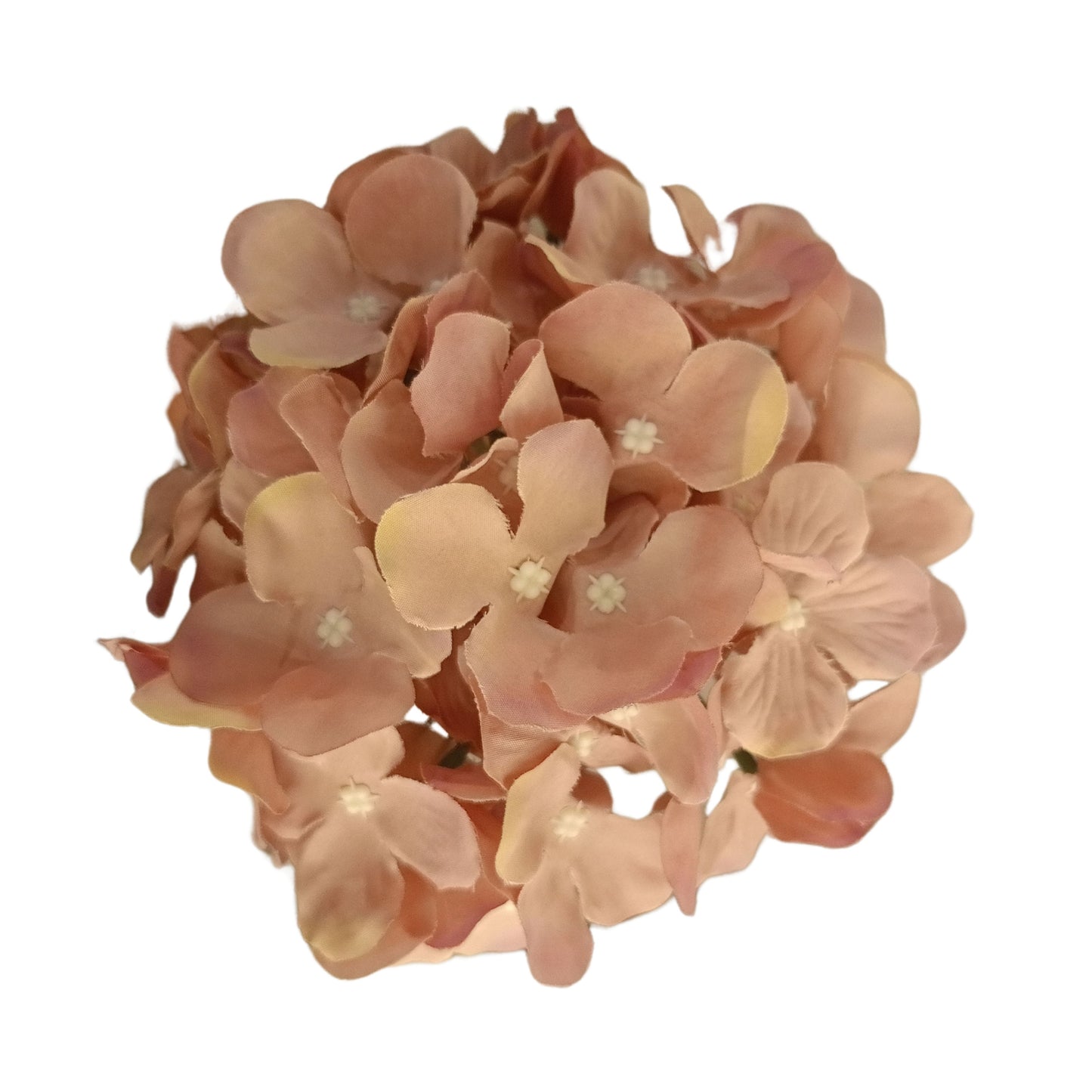 Light Brown Flr Hydrangea 54 Petals (Pack of 50)