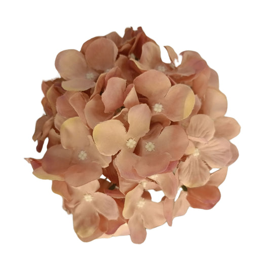 Light Brown Flr Hydrangea 54 Petals (Pack of 50)