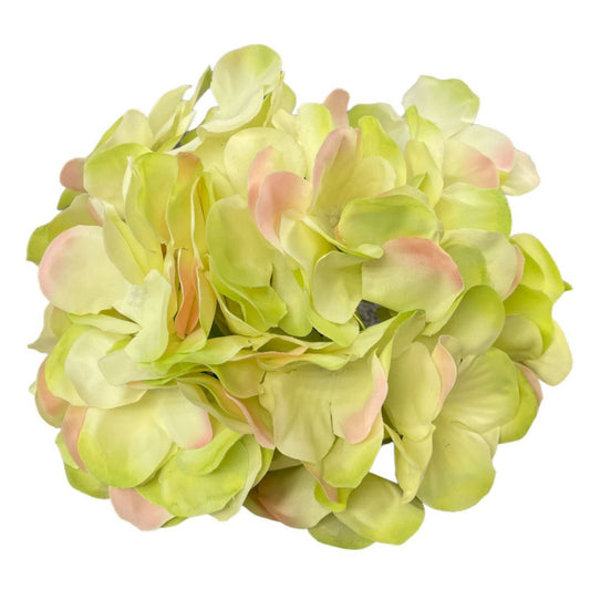 Light Green White Flr Hydrangea 54 Petals (Pack of 50)