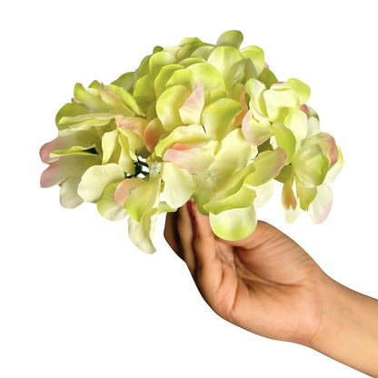 Light Green White Flr Hydrangea 54 Petals (Pack of 50)