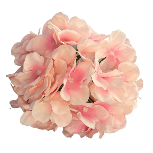 Light Pink Flr Hydrangea 54 Petals (Pack of 50)