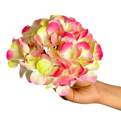 Light Pink Cream Flr Hydrangea 54 Petals (Pack of 50)