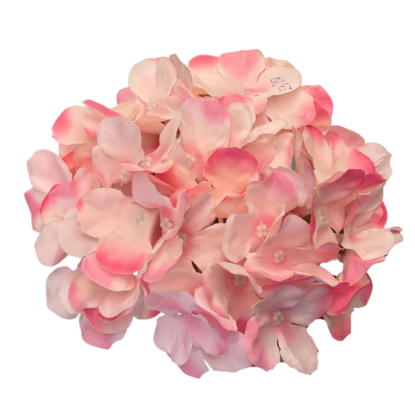 Light Pink Pink Flr Hydrangea 54 Petals (Pack of 50)