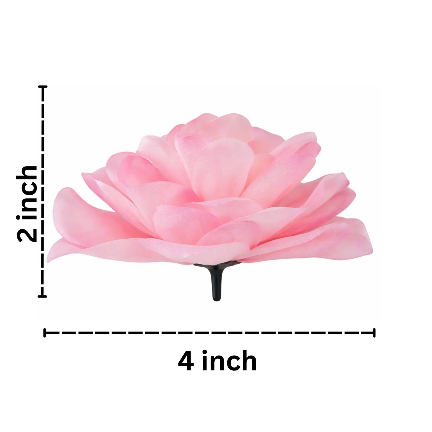 Pink flower with measurements on a white background