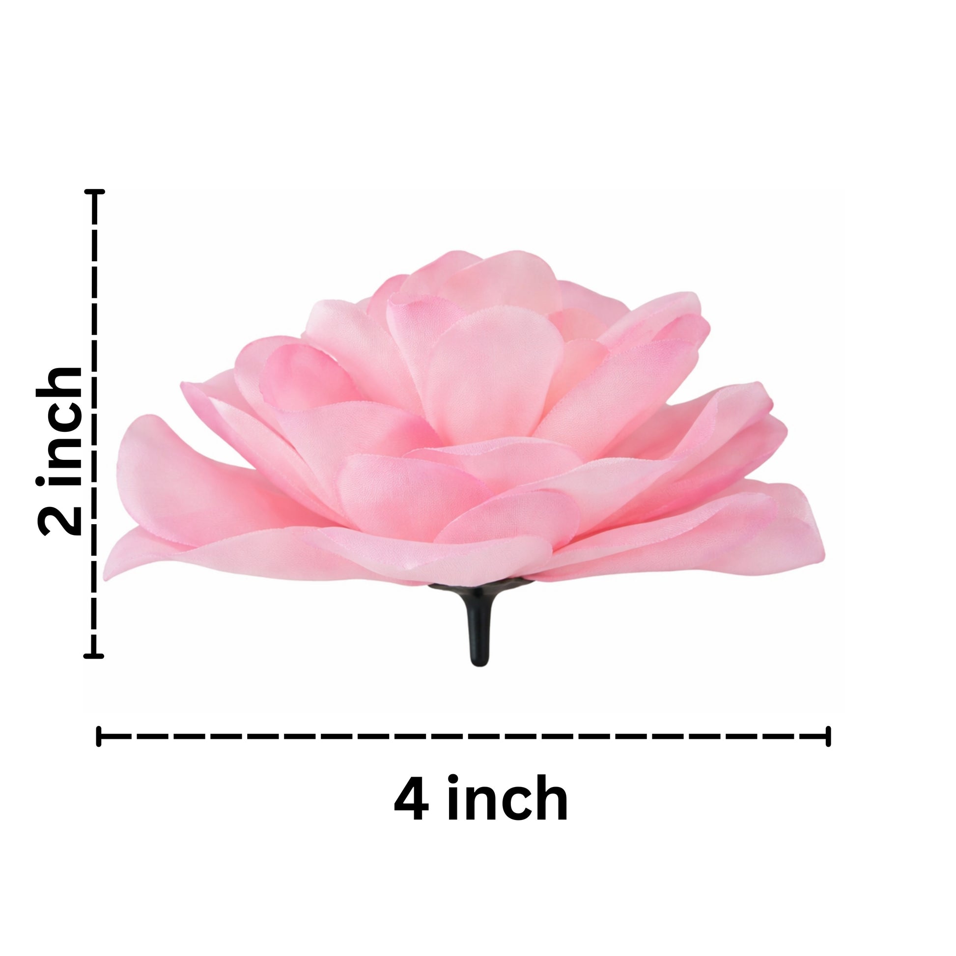 Pink flower with measurements on a white background