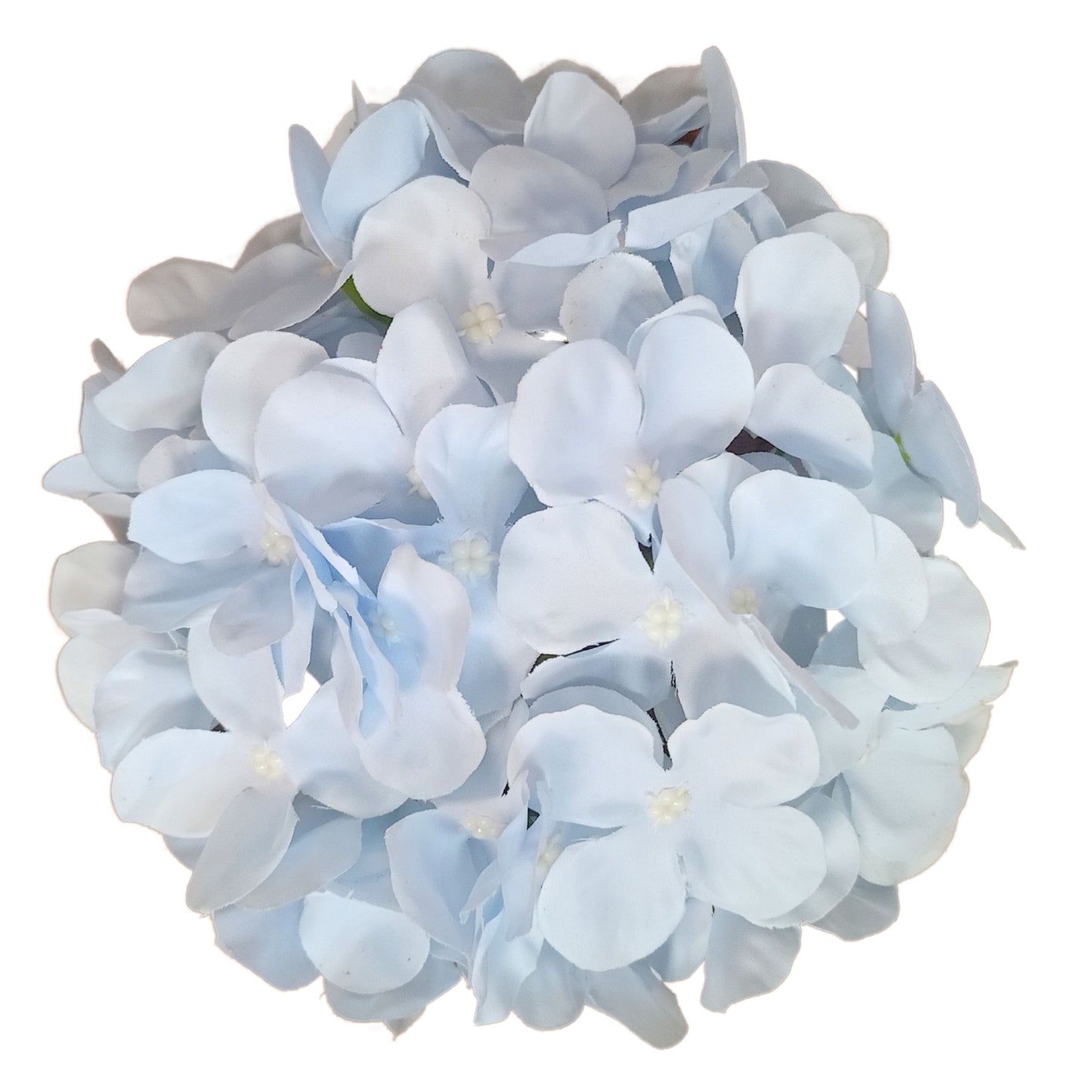 Light Sky Blue Flr Hydrangea 54 Petals (Pack of 50)