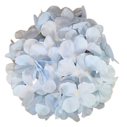 Light Sky Blue Flr Hydrangea 54 Petals (Pack of 50)