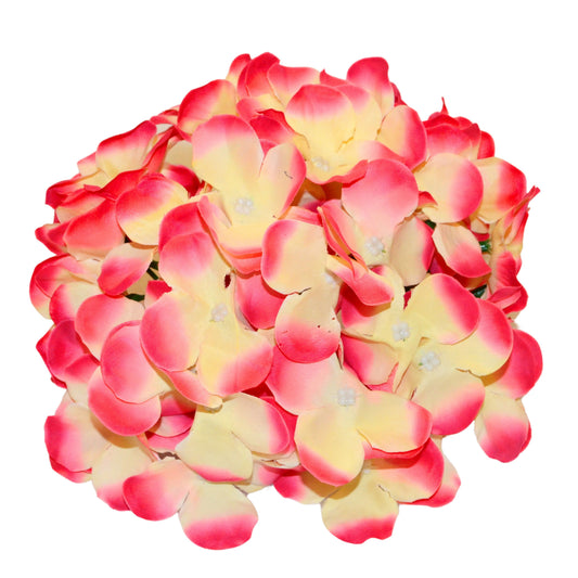 Magenta Green Flr Hydrangea 54 Petals (Pack of 50)