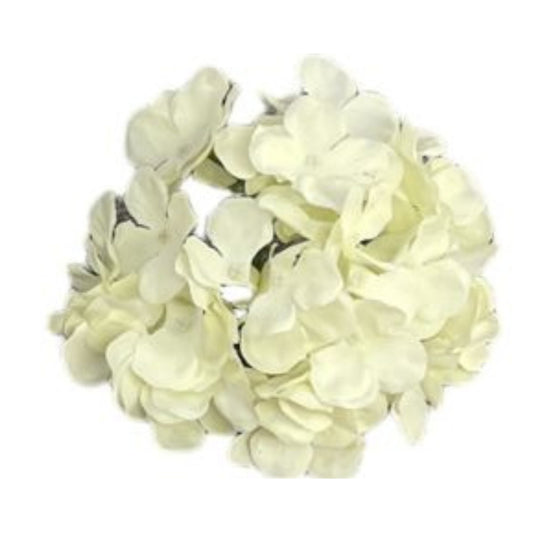 Off White Flr Hydrangea 54 Petals (Pack of 50)