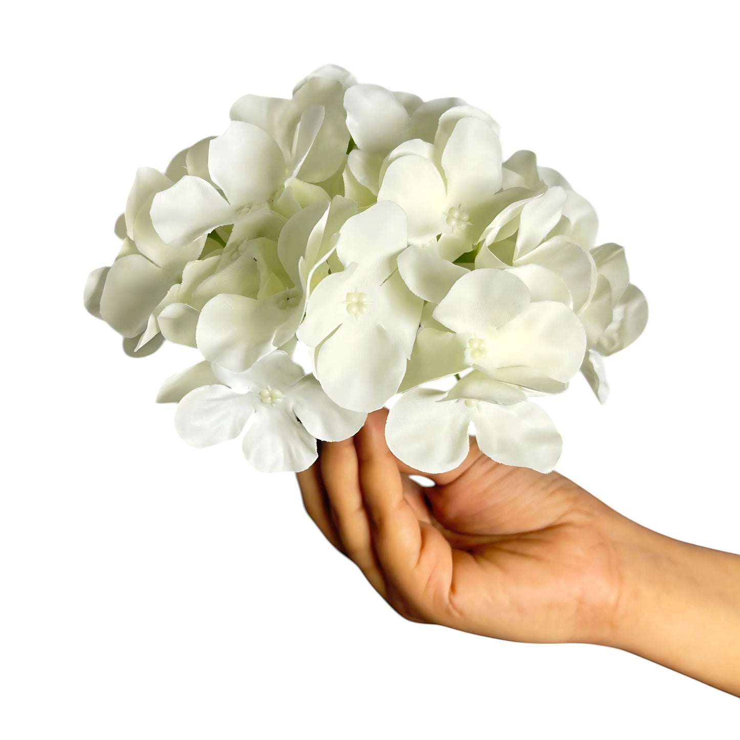 Off White Flr Hydrangea 54 Petals (Pack of 50)