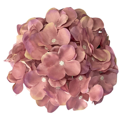 Onion Pink Flr Hydrangea 54 Petals (Pack of 50)