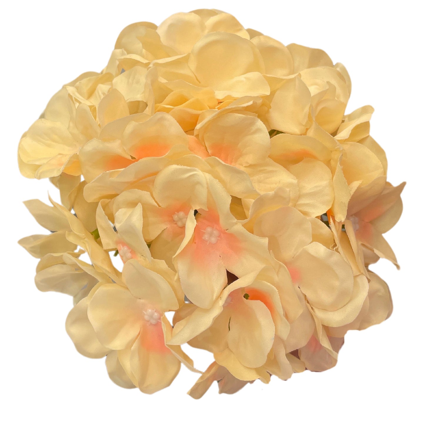 Peach Brown Flr Hydrangea 54 Petals (Pack of 50)