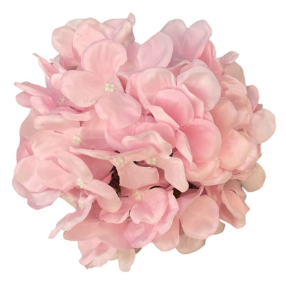 Peach Pink Flr Hydrangea 54 Petals (Pack of 50)