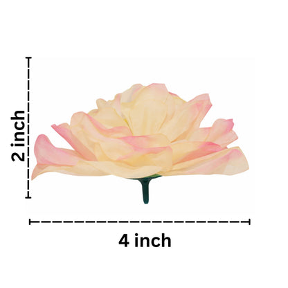 Measurement chart of a pink flower with dimensions 2 inches wide and 4 inches tall on a white background.