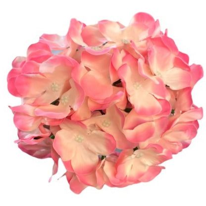 Pink Light Peach Flr Hydrangea 54 Petals (Pack of 50)