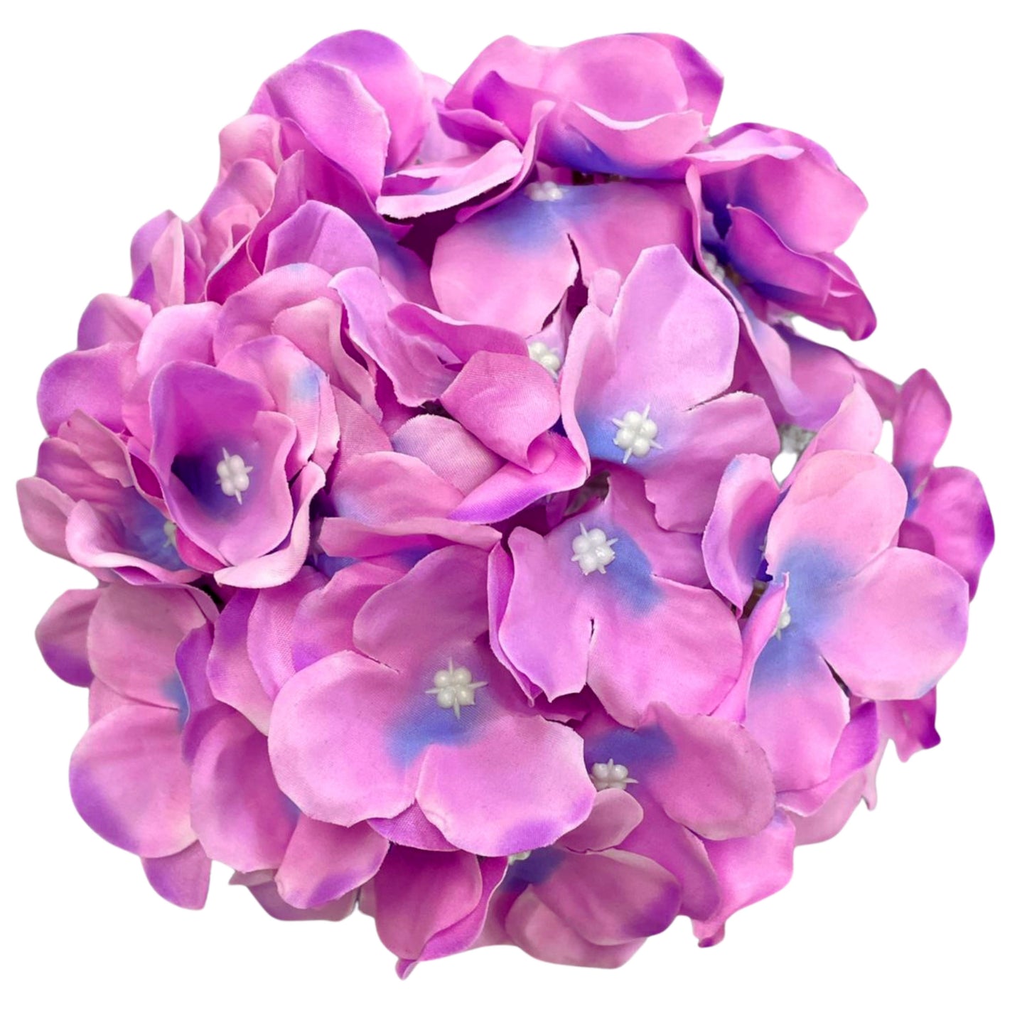 Purple Sky Blue Flr Hydrangea 54 Petals (Pack of 50)