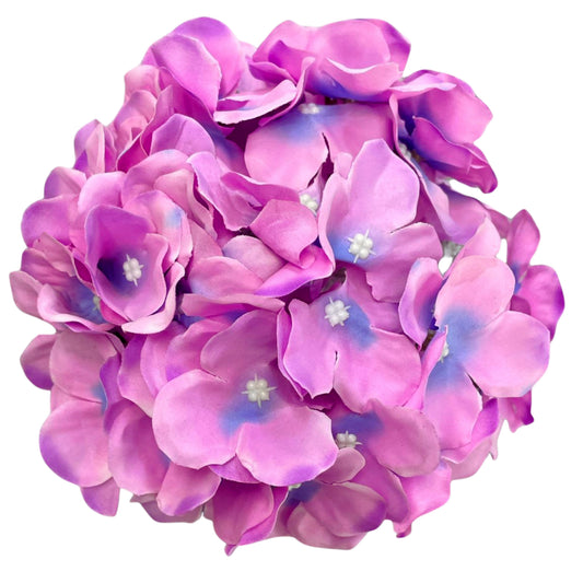 Purple Sky Blue Flr Hydrangea 54 Petals (Pack of 50)