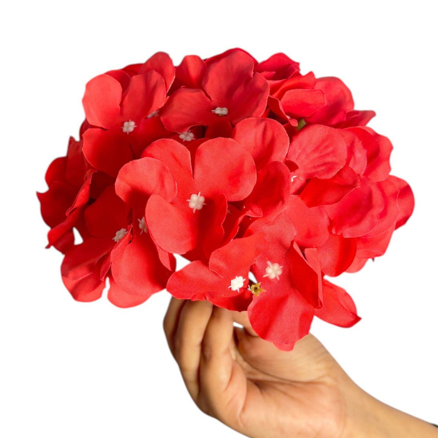 Red Flr Hydrangea 54 Petals (Pack of 50)