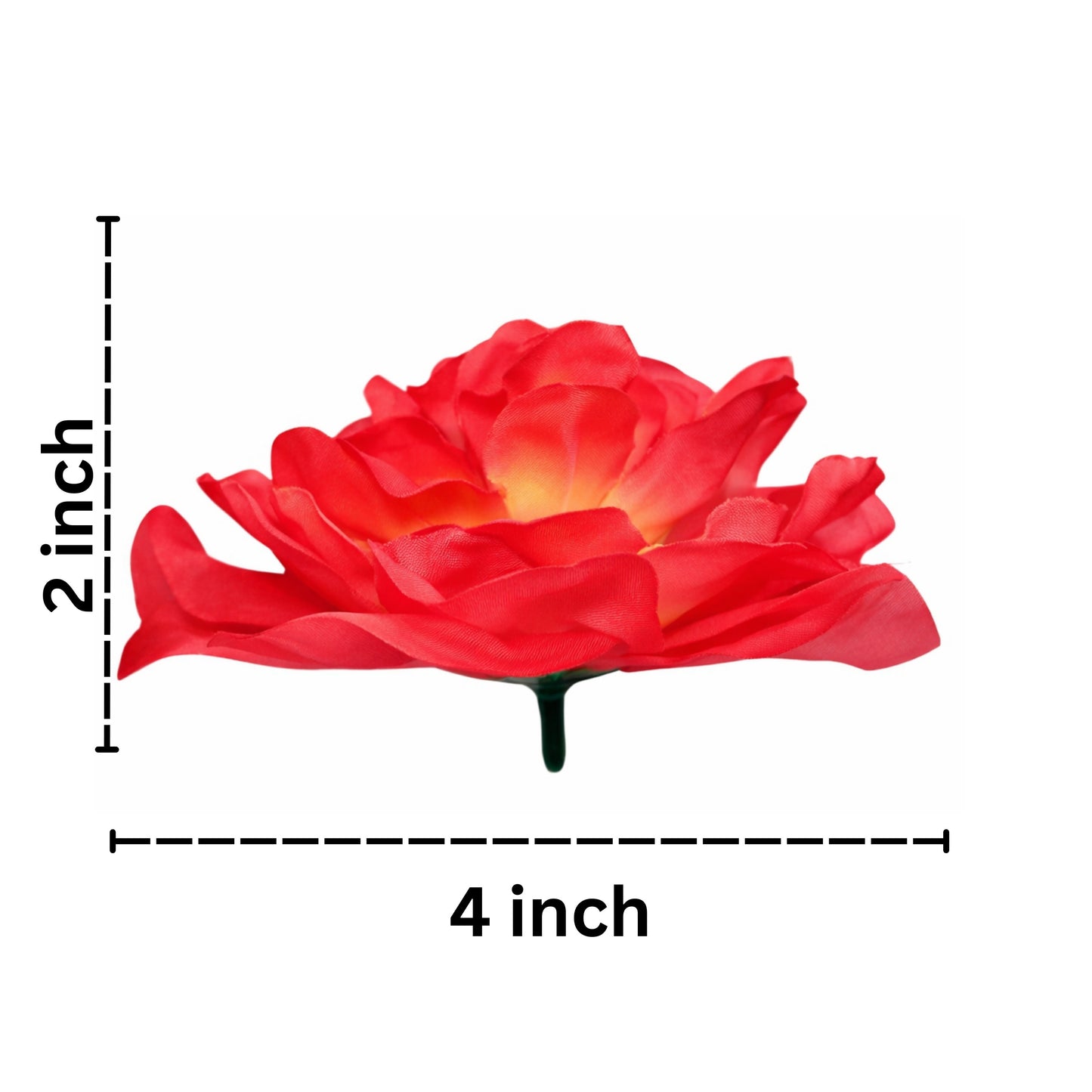 Red flower with measurements on a white background