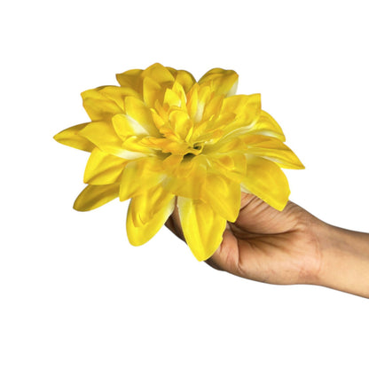 Yellow White Flr M Chrysanthemum (Mother Guldabri) (Pack of 100)