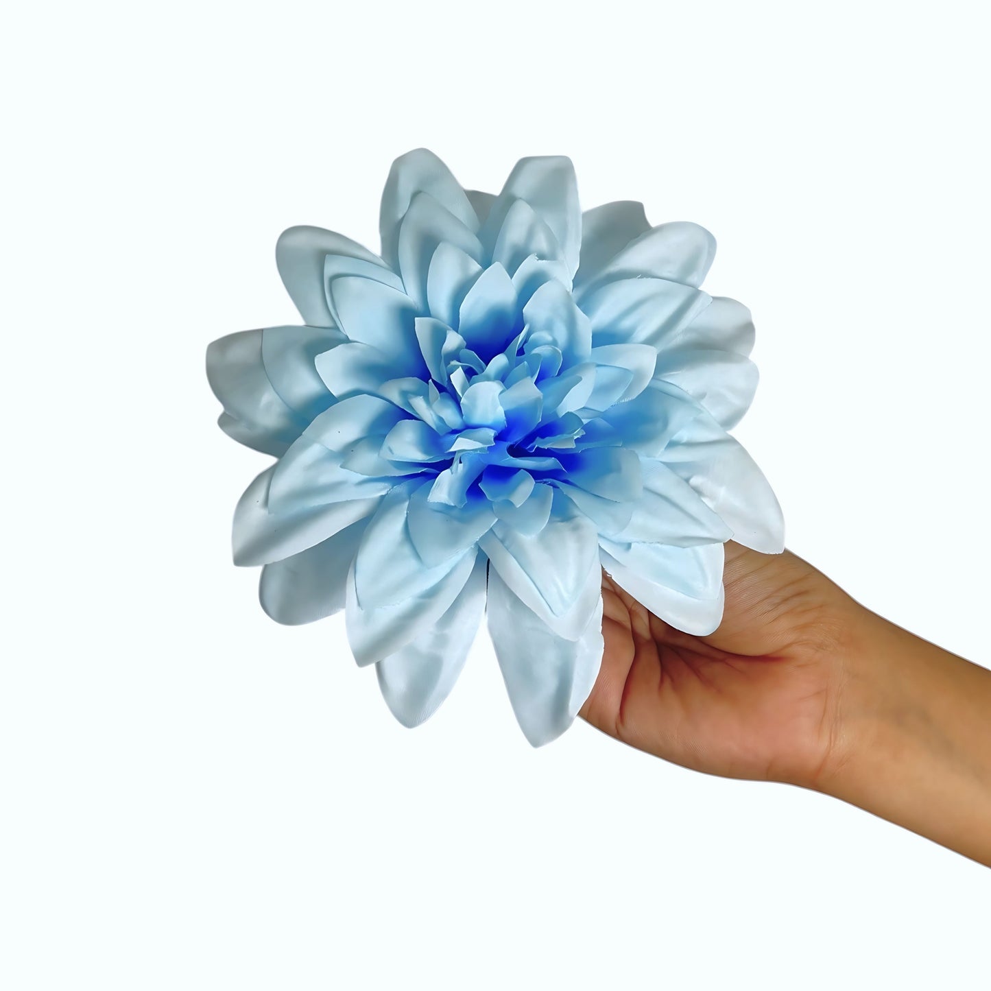 Sky Blue Flr M Chrysanthemum (Mother Guldabri) (Pack of 100)