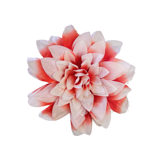 Red White Flr M Chrysanthemum (Mother Guldabri) (Pack of 100)