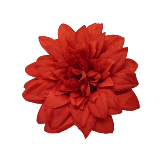 Red Flr M Chrysanthemum (Mother Guldabri) (Pack of 100)