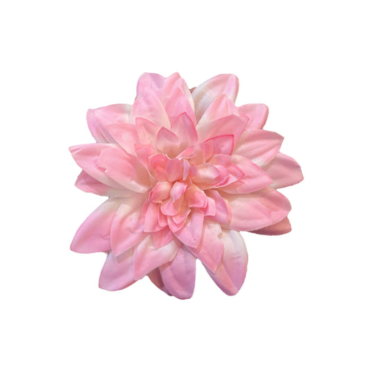 Pink White Flr M Chrysanthemum (Mother Guldabri) (Pack of 100)