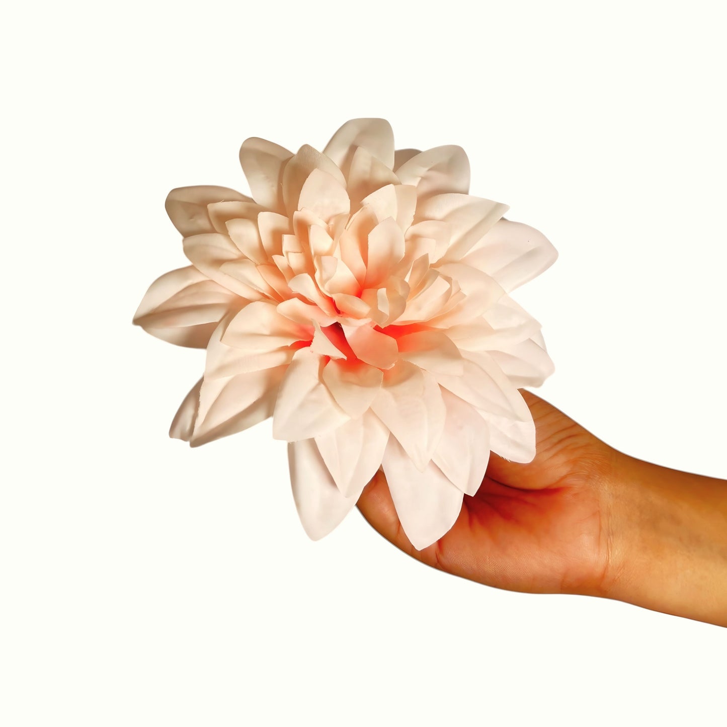 Peach Flr M Chrysanthemum (Mother Guldabri) (Pack of 100)