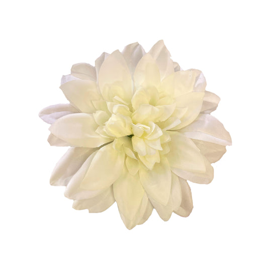 Peach Flr M Chrysanthemum (Mother Guldabri) (Pack of 100)