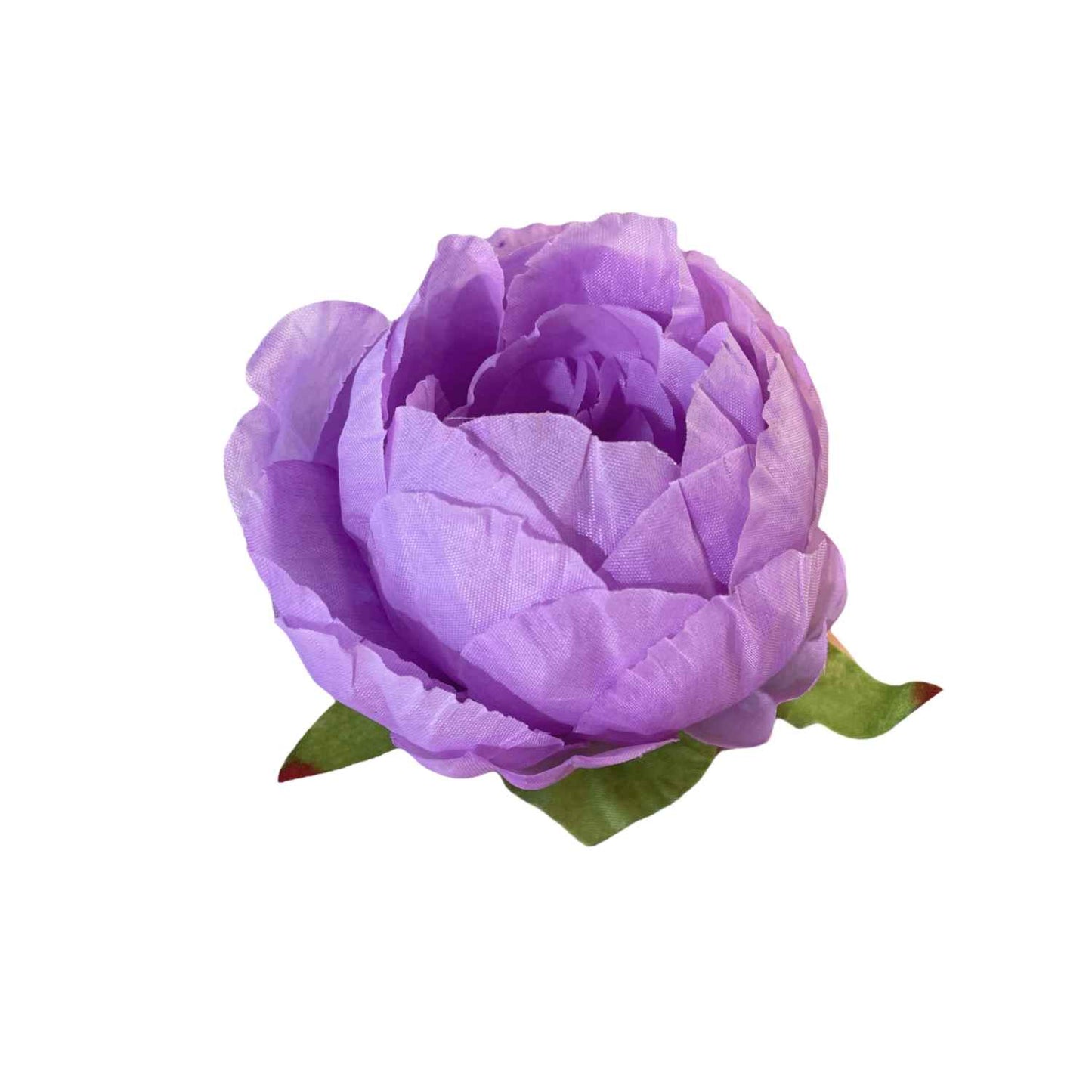 Lavender Peony (Pack of 50)