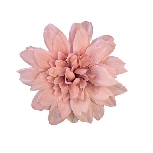 Onion Pink Flr M Chrysanthemum (Mother Guldabri) (Pack of 100)