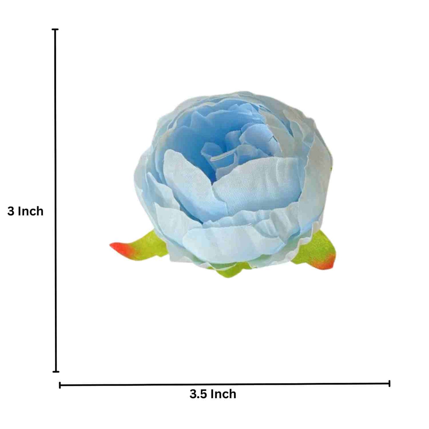 Sky Blue Peony (Pack of 50)