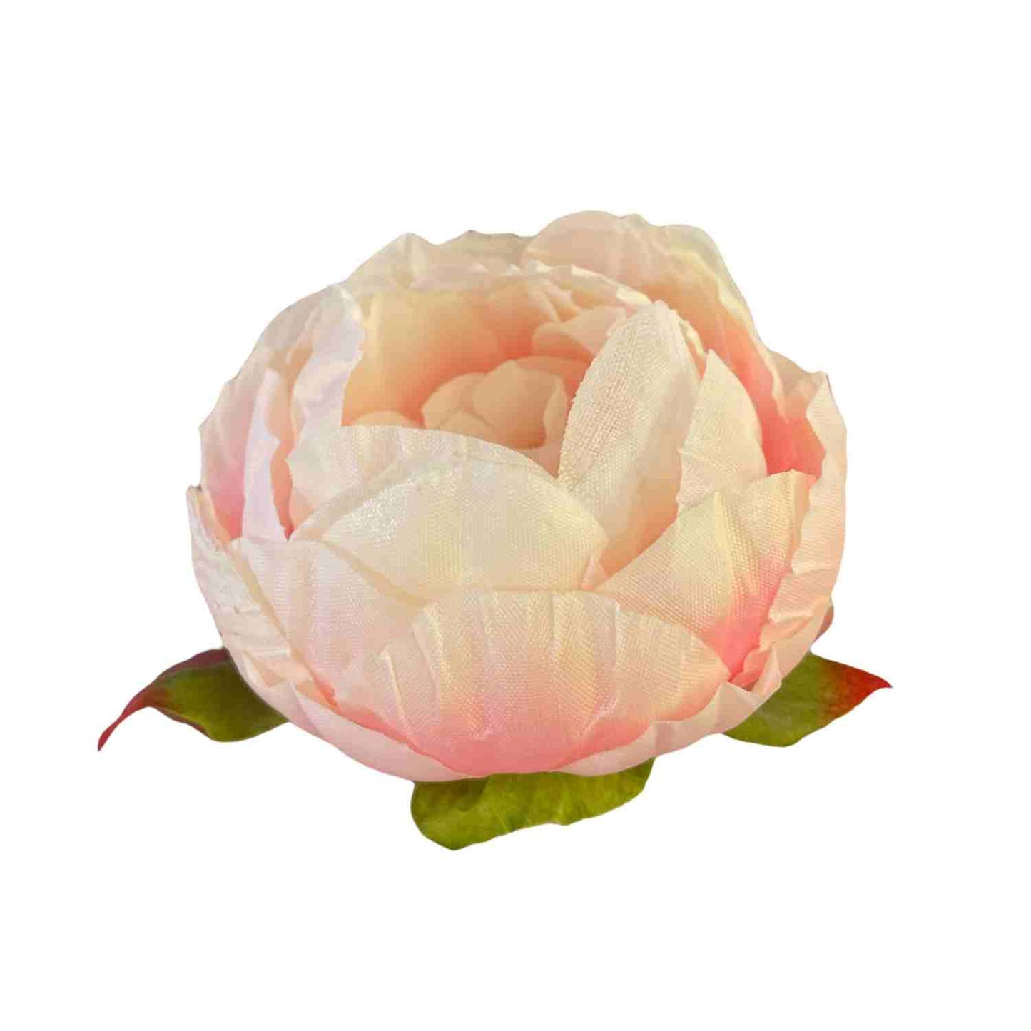 Light Purple Cream Peony (Pack of 50)