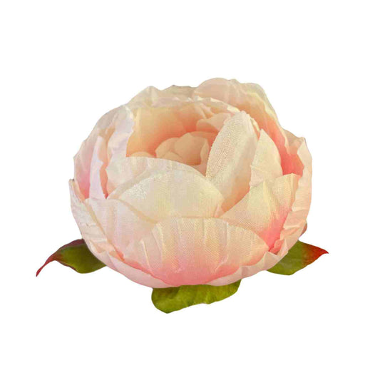 Light Purple Cream Peony (Pack of 50)