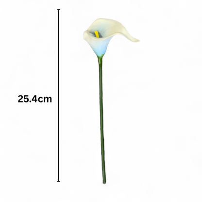 Calla Lilly Small Sky Blue White (Pack of 10)
