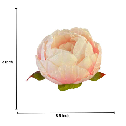 Light Purple Cream Peony (Pack of 50)