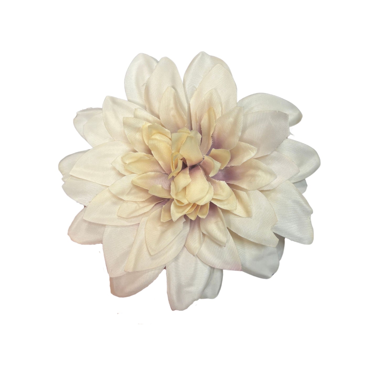 Light Brown Cream Flr M Chrysanthemum (Mother Guldabri) (Pack of 100)