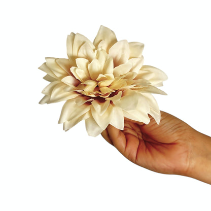 Light Brown Cream Flr M Chrysanthemum (Mother Guldabri) (Pack of 100)